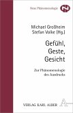 Gefühl, Geste, Gesicht (eBook, PDF)