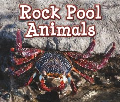 Rock Pool Animals - Smith, Sian