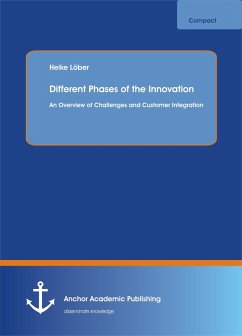 Different Phases of the Innovation Process (eBook, PDF) - Löber, Heike