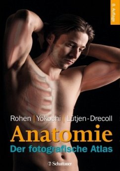 Anatomie - Rohen, Johannes W.;Yokochi, Chihiro;Lütjen-Drecoll, Elke