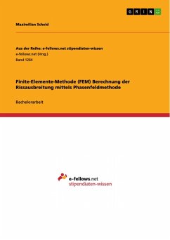 Finite-Elemente-Methode (FEM) Berechnung der Rissausbreitung mittels Phasenfeldmethode (eBook, PDF)