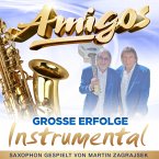 Große Erfolge-Instrumental