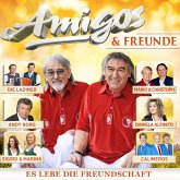 Amigos & Freunde