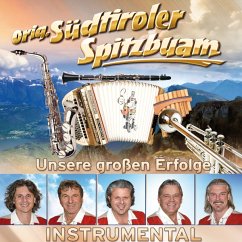 Unsere Großen Erfolge-Instrumental - Südtiroler Spitzbuam,Original