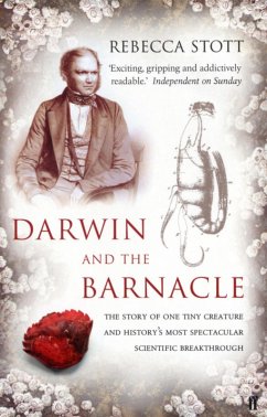 Darwin and the Barnacle (eBook, ePUB) - Stott, Rebecca