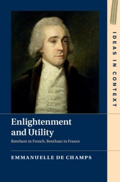 Enlightenment and Utility (eBook, PDF) - Champs, Emmanuelle de