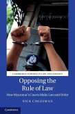 Opposing the Rule of Law (eBook, PDF)