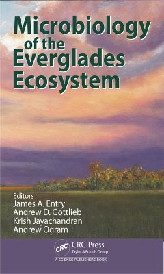 Cover Microbiology of the Everglades Ecosystem (eBook, PDF)
