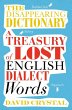 The Disappearing Dictionary (eBook,... - Bild 1