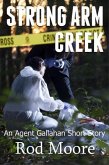 Strong Arm Creek (Agent Gallahan, #1) (eBook, ePUB)