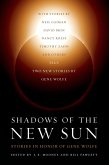 Shadows of the New Sun (eBook, ePUB)