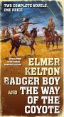 Badger Boy and The Way of the Coyote (eBook, ePUB)