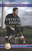 Detecting Danger (eBook, ePUB)