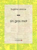 Un gros mot (eBook, ePUB)