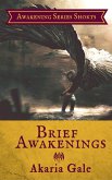 Brief Awakenings (eBook, ePUB)