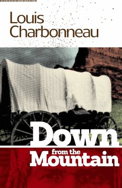Cover Down From the Mountain (eBook, ePUB)