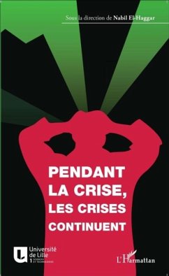 Pendant la crise, les crises continuent (eBook, PDF)