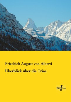 Überblick über die Trias - Alberti, Friedrich von