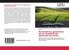 Parámetros genéticos de la longitud de panícula en arroz - Amela, Francisco Alberto;Martinez, Cesar P.;Borrero, Jaime C.
