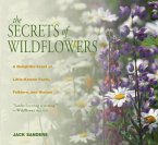 Secrets of Wildflowers (eBook, ePUB)