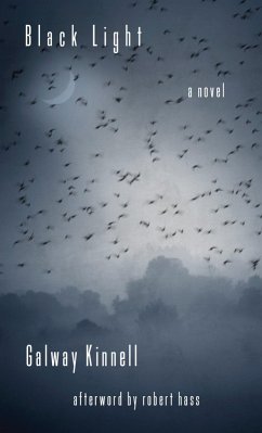 Black Light (eBook, ePUB) Cover Black Light (eBook, ePUB)