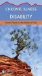 Chronic Illness and Disability (eBook,... - Bild 1