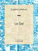 Le sel (eBook, ePUB)