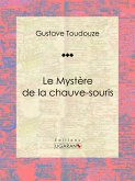 Le Mystère de la chauve-souris (eBook, ePUB)