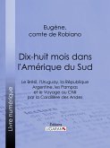 Dix-huit mois dans l'Amérique du Sud (eBook, ePUB)