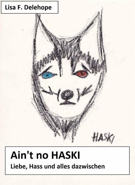 Ain't no HASKI (eBook, ePUB)