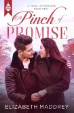 A Pinch of Promise (Taste of Romance, #2) (eBook, ePUB)