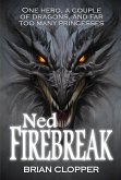 Ned Firebreak (eBook, ePUB)