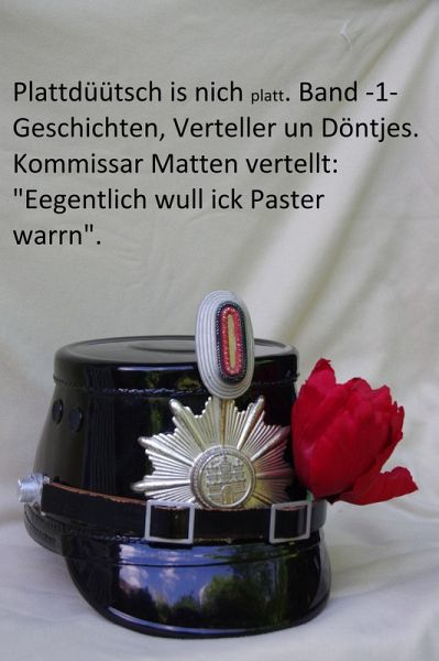 Eeegentlich wull ick Paster warrn (eBook, ePUB)