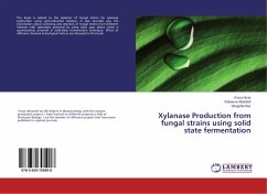 Xylanase Production from fungal strains using solid state fermentation - Nisar, Kinza;Abdullah, Roheena;Naz, Shagufta