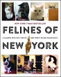 Felines of New York (eBook, ePUB) - Bild 1