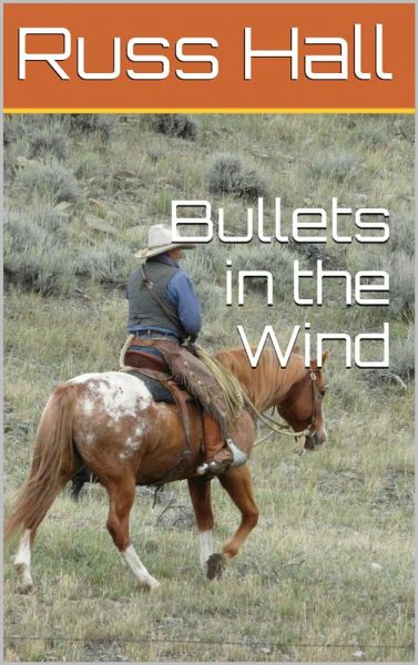 Bullets in the Wind (eBook, ePUB) Bullets in the Wind (eBook, ePUB)