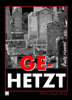 Gehetzt (eBook, ePUB) - Namtel, Rudy