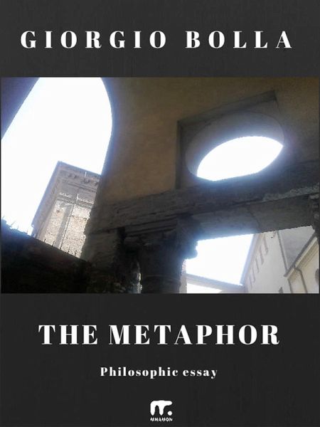 The Metaphor (eBook, ePUB) The Metaphor (eBook, ePUB)