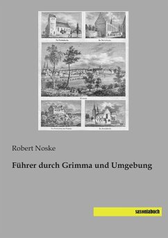 Führer durch Grimma und Umgebung - Noske, Robert