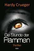 Die Stunde der Flammen (eBook, ePUB)