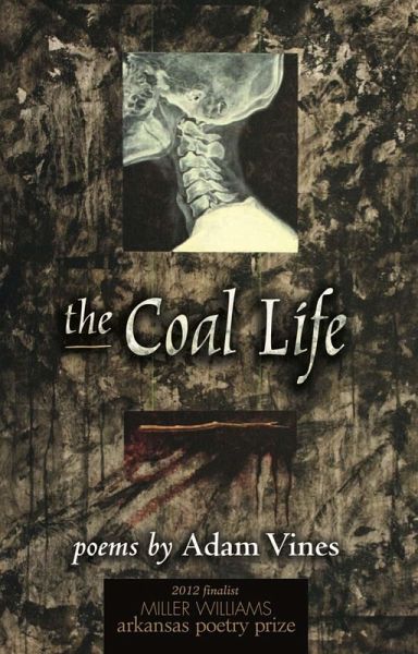 Coal Life (eBook, PDF)