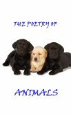 Animal Poetry (eBook, ePUB)