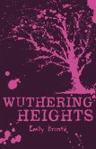 Wuthering Heights (eBook, ePUB)