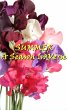 Summer, A Season In Verse (eBook, ePUB) - Bild 1