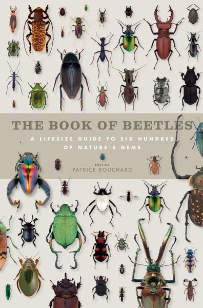 The Book of Beetles (eBook, ePUB)