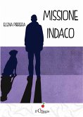 Missione indaco (eBook, ePUB)