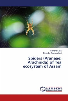 Spiders (Araneae: Arachnida) of Tea ecosystem of Assam