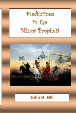 Meditations in the Minor Prophets - Hill, John