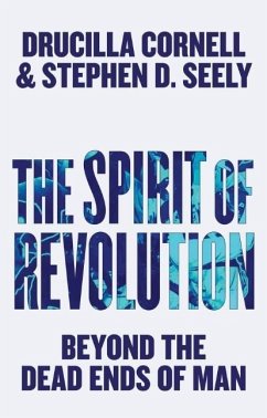 The Spirit of Revolution - Cornell, Drucilla; Seely, Stephen D