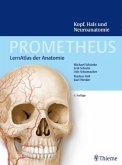 Kopf, Hals und Neuroanatomie / Prometheus